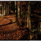 Herbst am Neuweiher...