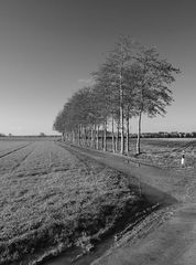 Herbst am Niederrhein