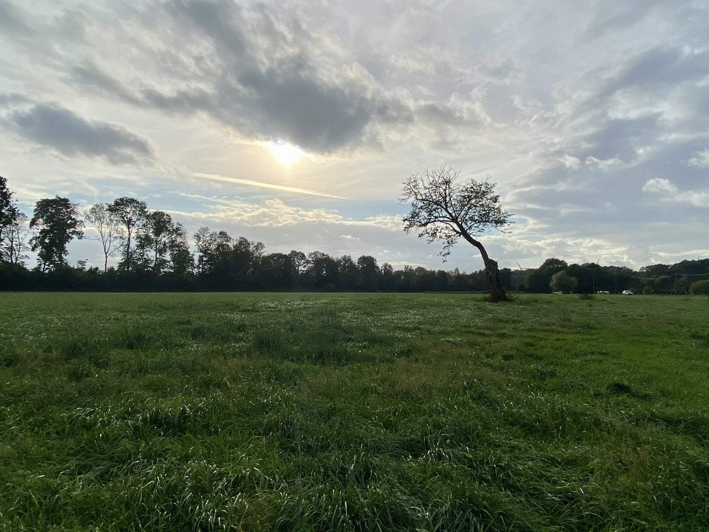 Herbst am Niederrhein 2