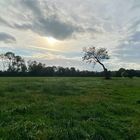 Herbst am Niederrhein 2