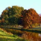 Herbst am Niederrhein