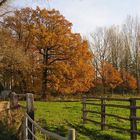 Herbst am Niederrhein