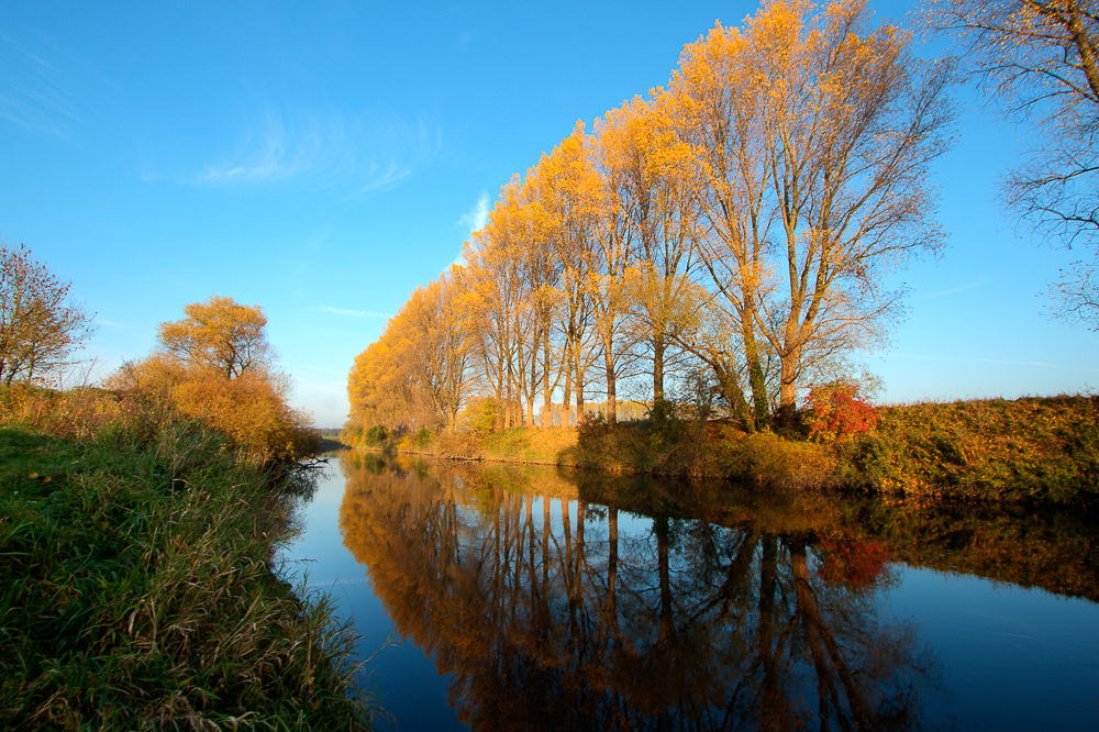 Herbst am Niederrhein