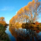 Herbst am Niederrhein