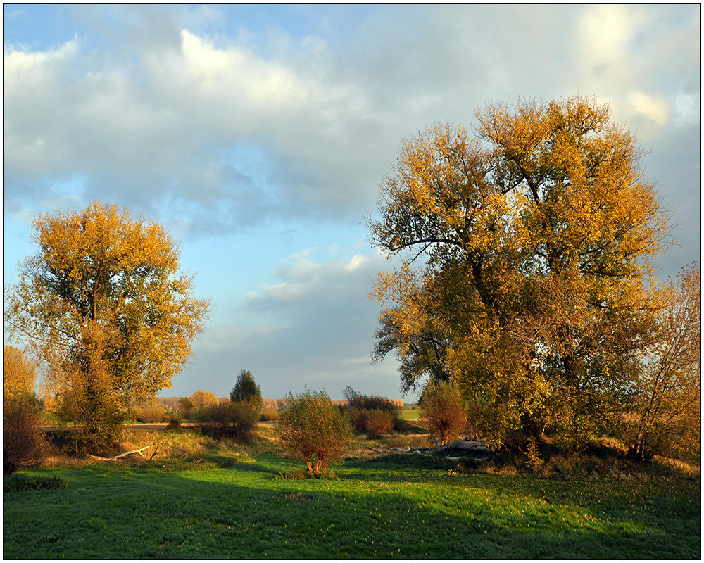 Herbst am Niederrhein