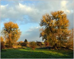 Herbst am Niederrhein