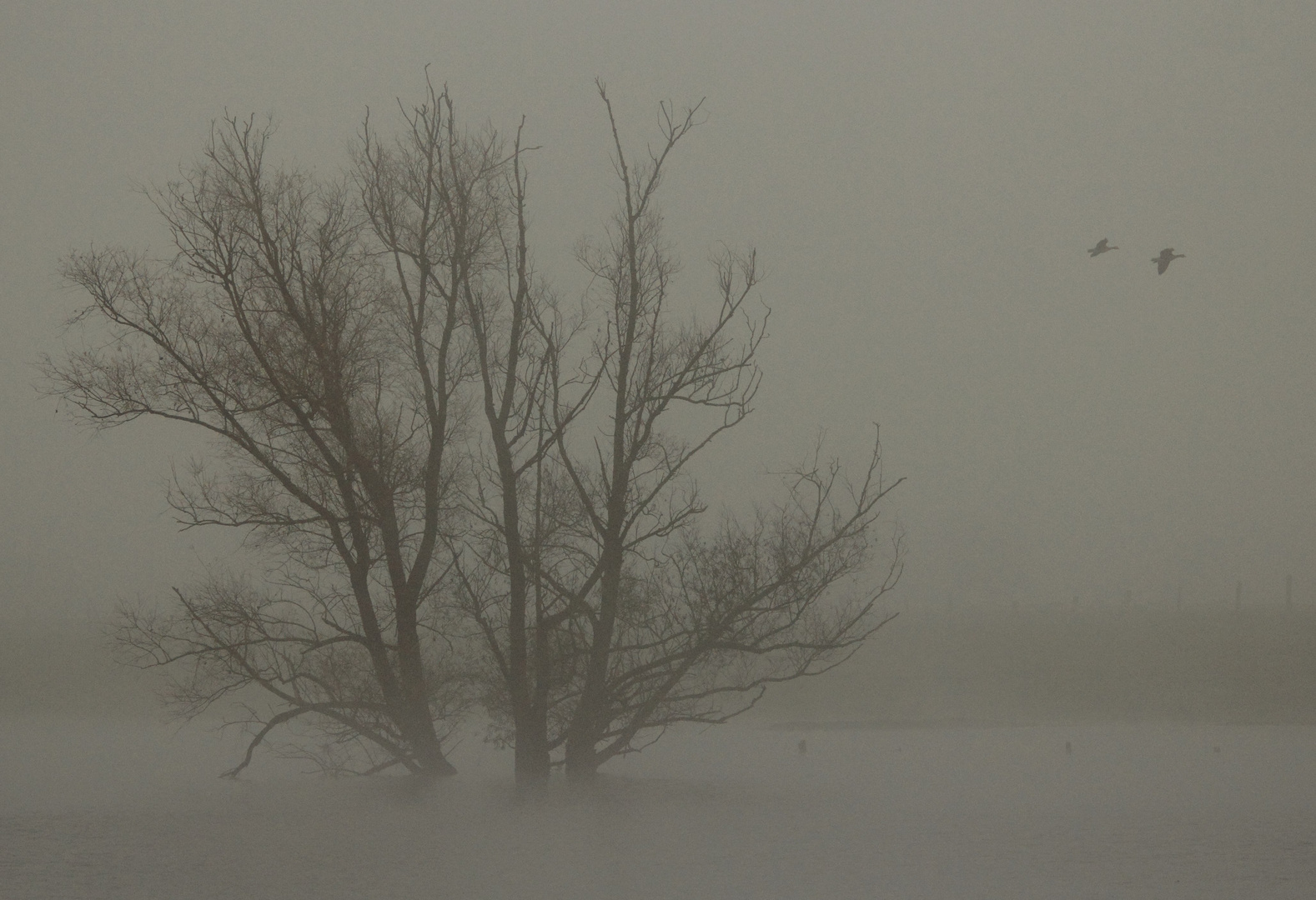 Herbst am Niederrhein