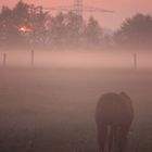 Herbst am Niederrhein