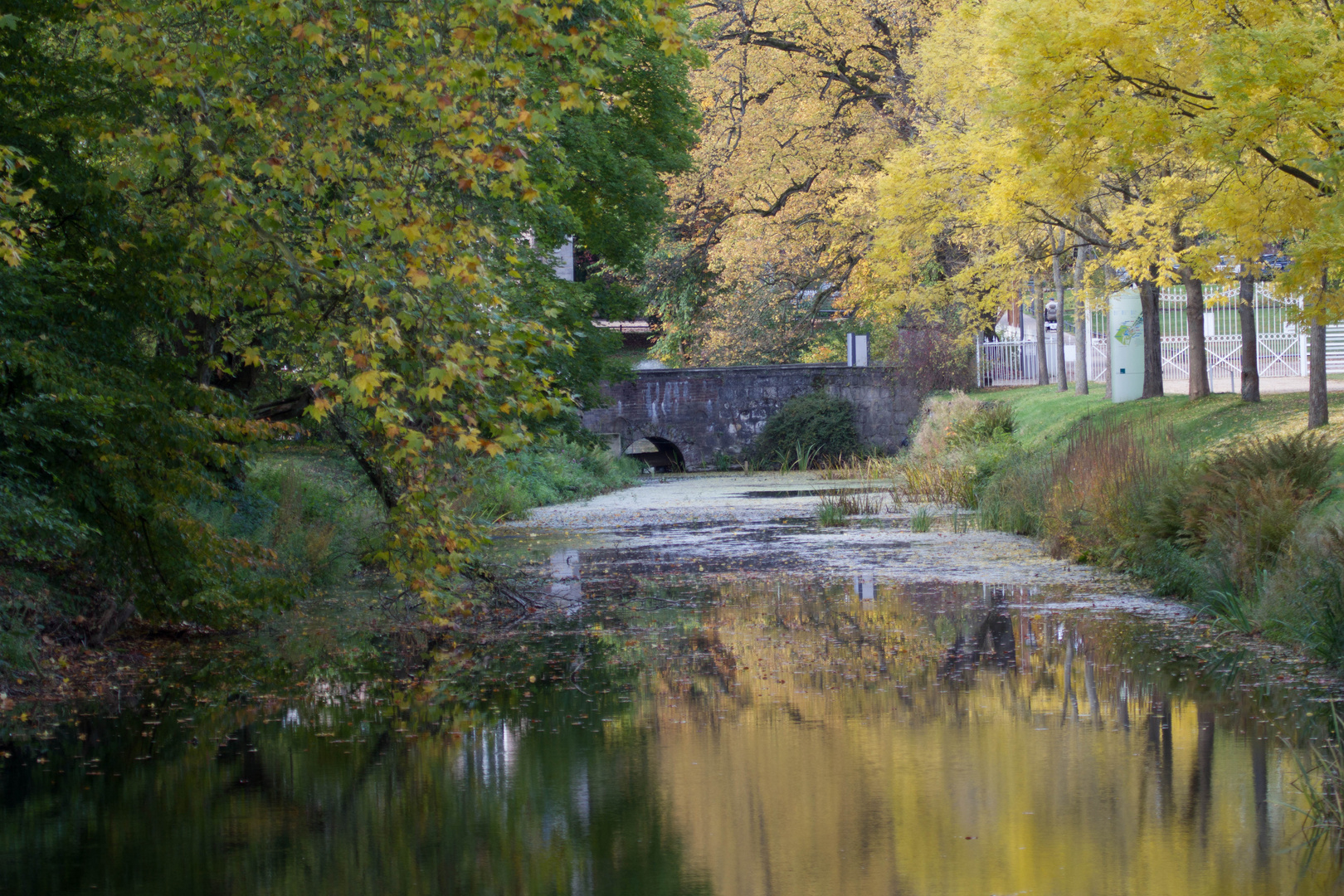 Herbst am Niederrhein