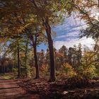 Herbst am Niederrhein