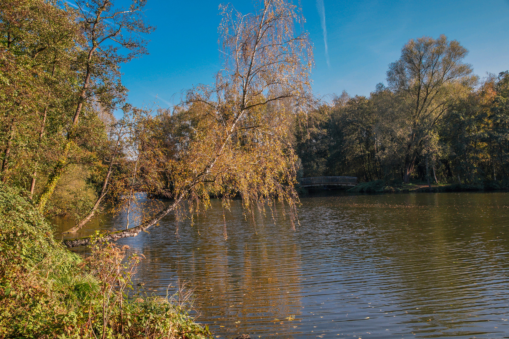 Herbst am Niederrhein