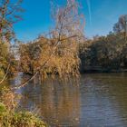 Herbst am Niederrhein