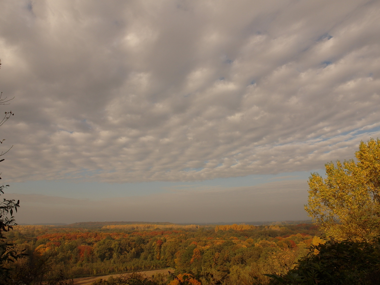 Herbst am Niederrhein