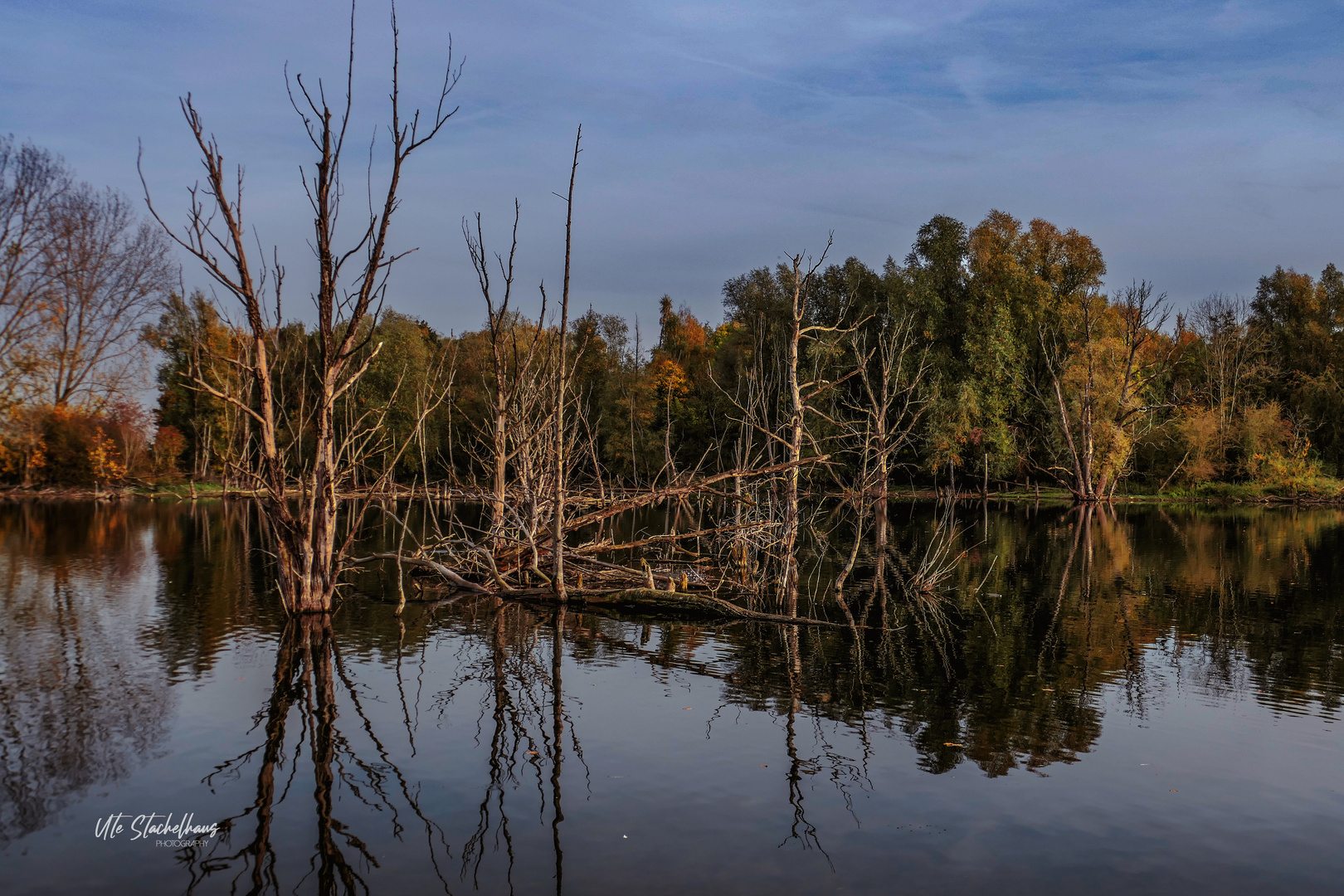 Herbst am Niederrhein 