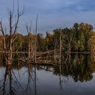 Herbst am Niederrhein 