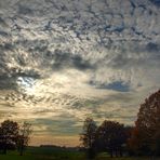 Herbst am Niederrhein