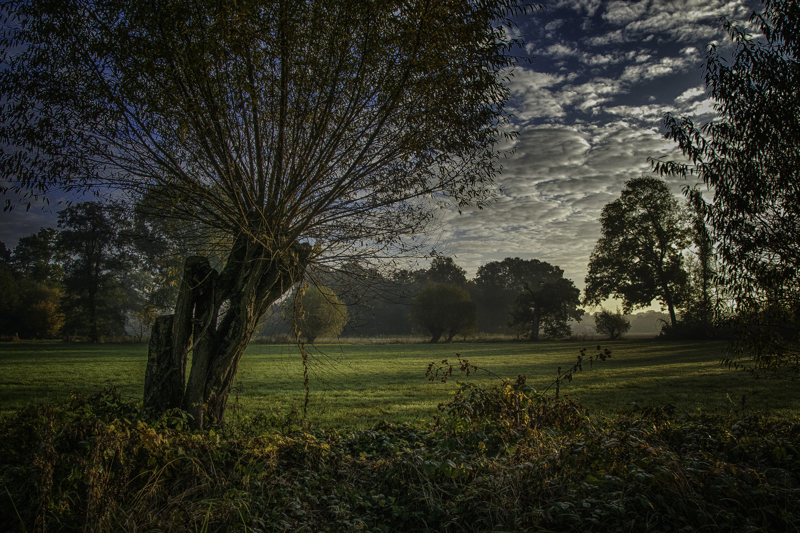 Herbst am Niederrhein