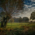 Herbst am Niederrhein