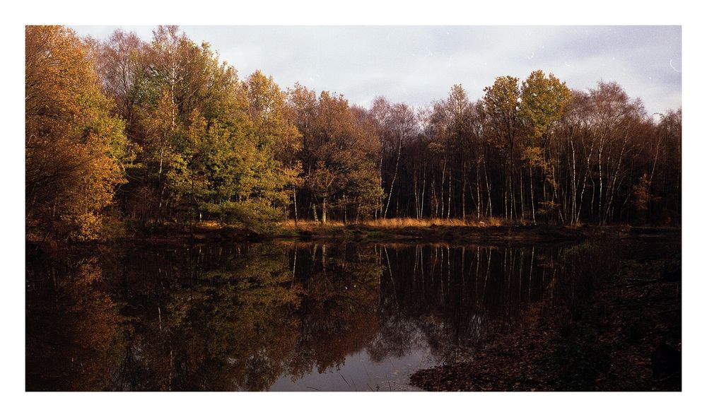 Herbst am Nierrhein 2