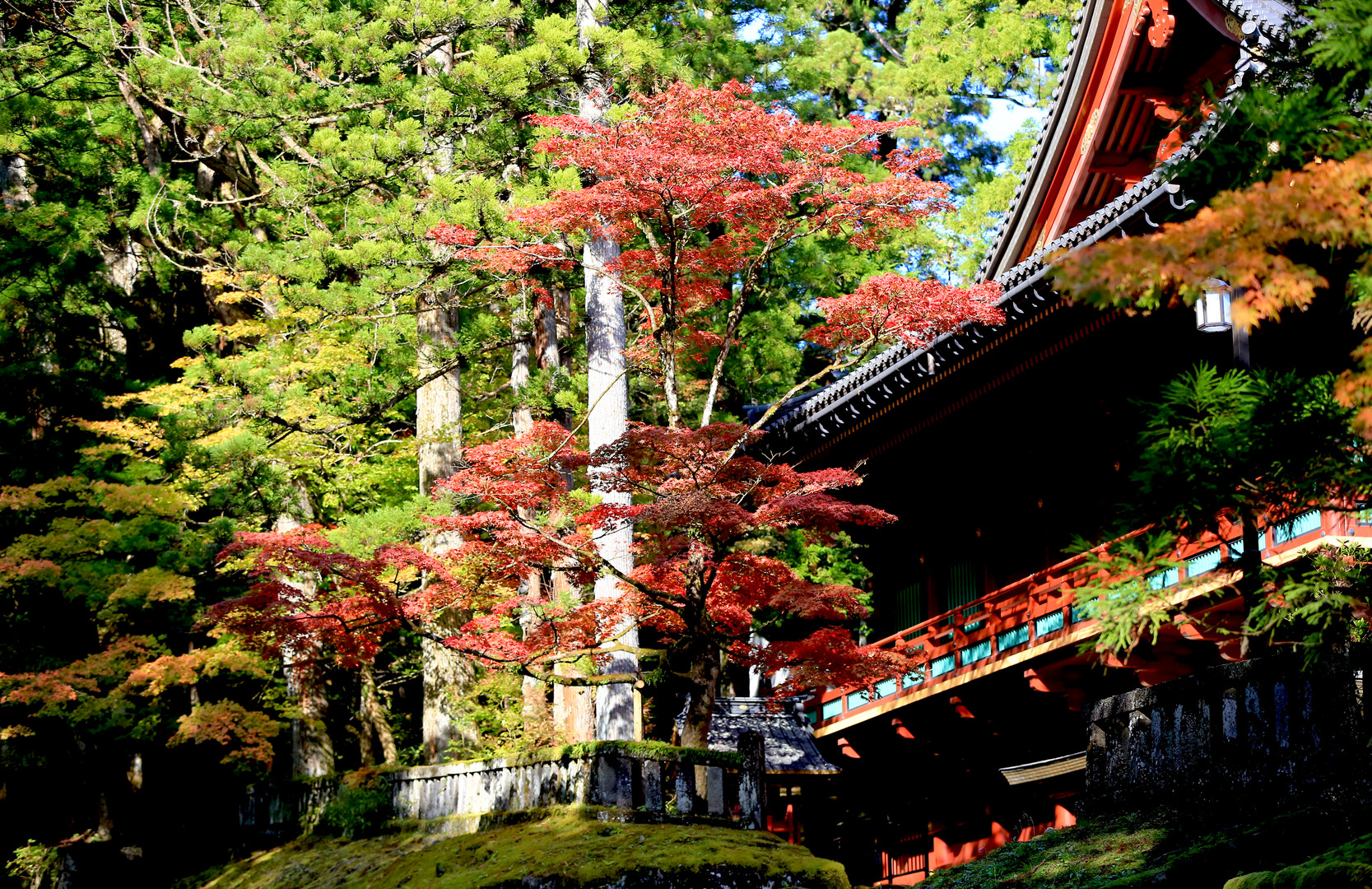 Herbst am Nikkozan Rinnoji Temple