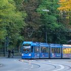 Herbst am Nockherberg (1 von 3)