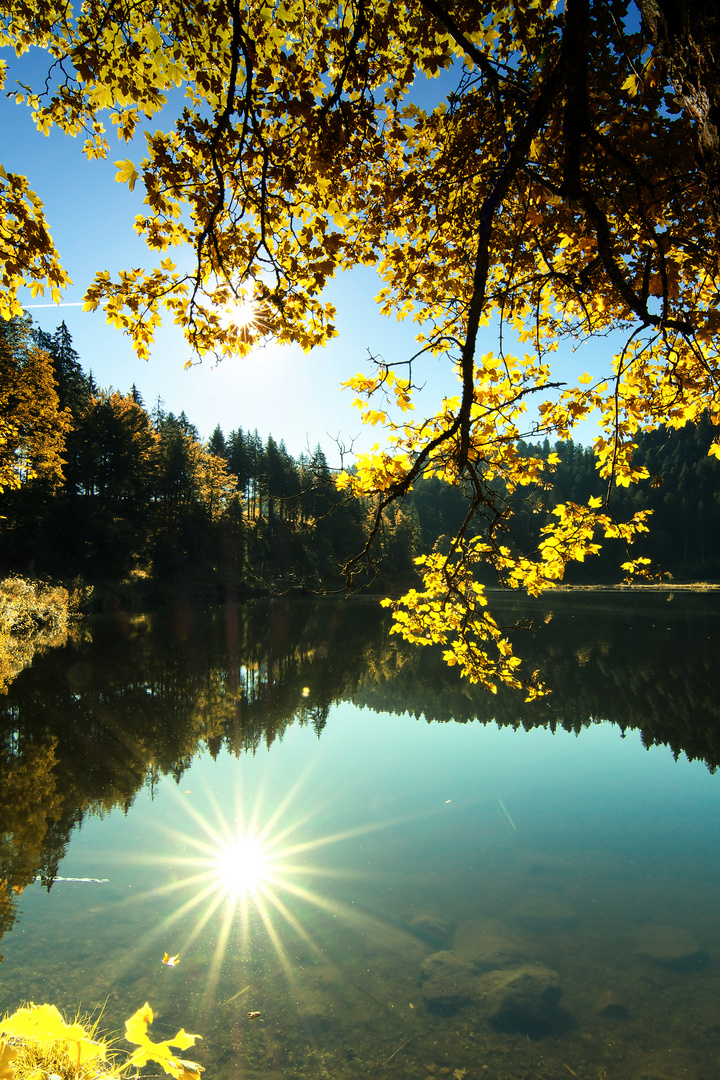 Herbst am Nonnenmattweiher