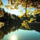 Herbst am Nonnenmattweiher