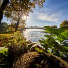 Herbst am Oberbach