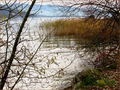 Herbst am oberen Zürichsee