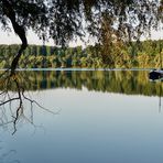 Herbst am Oberrhein #4