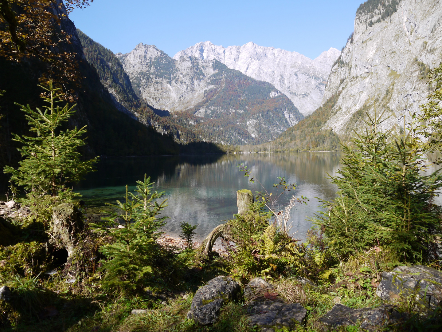 Herbst am Obersee