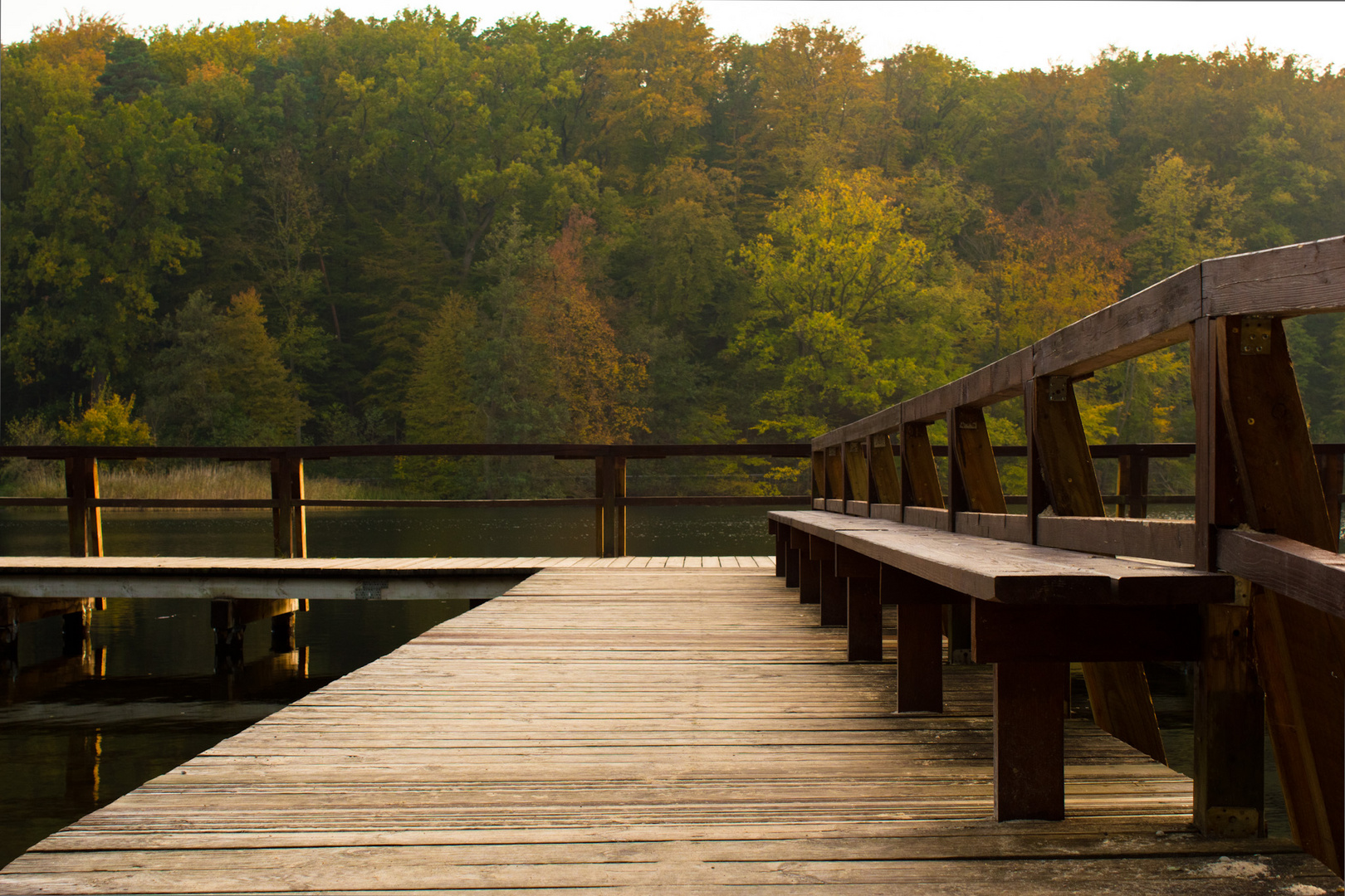 Herbst am Obersee