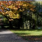 Herbst am Obersee in Hohenschönhausen