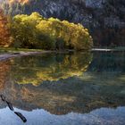 Herbst am Offensee -2-