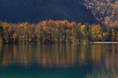 Herbst am Offensee