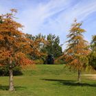 Herbst am Olbersdorfer See