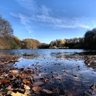 Herbst am Ophovener Weiher