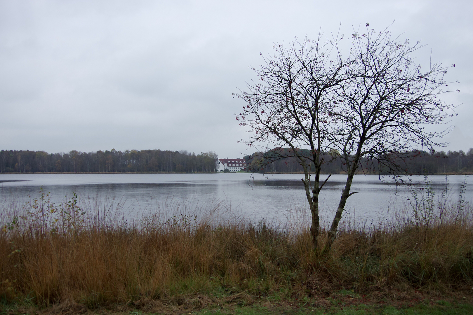 Herbst am Ottermeer