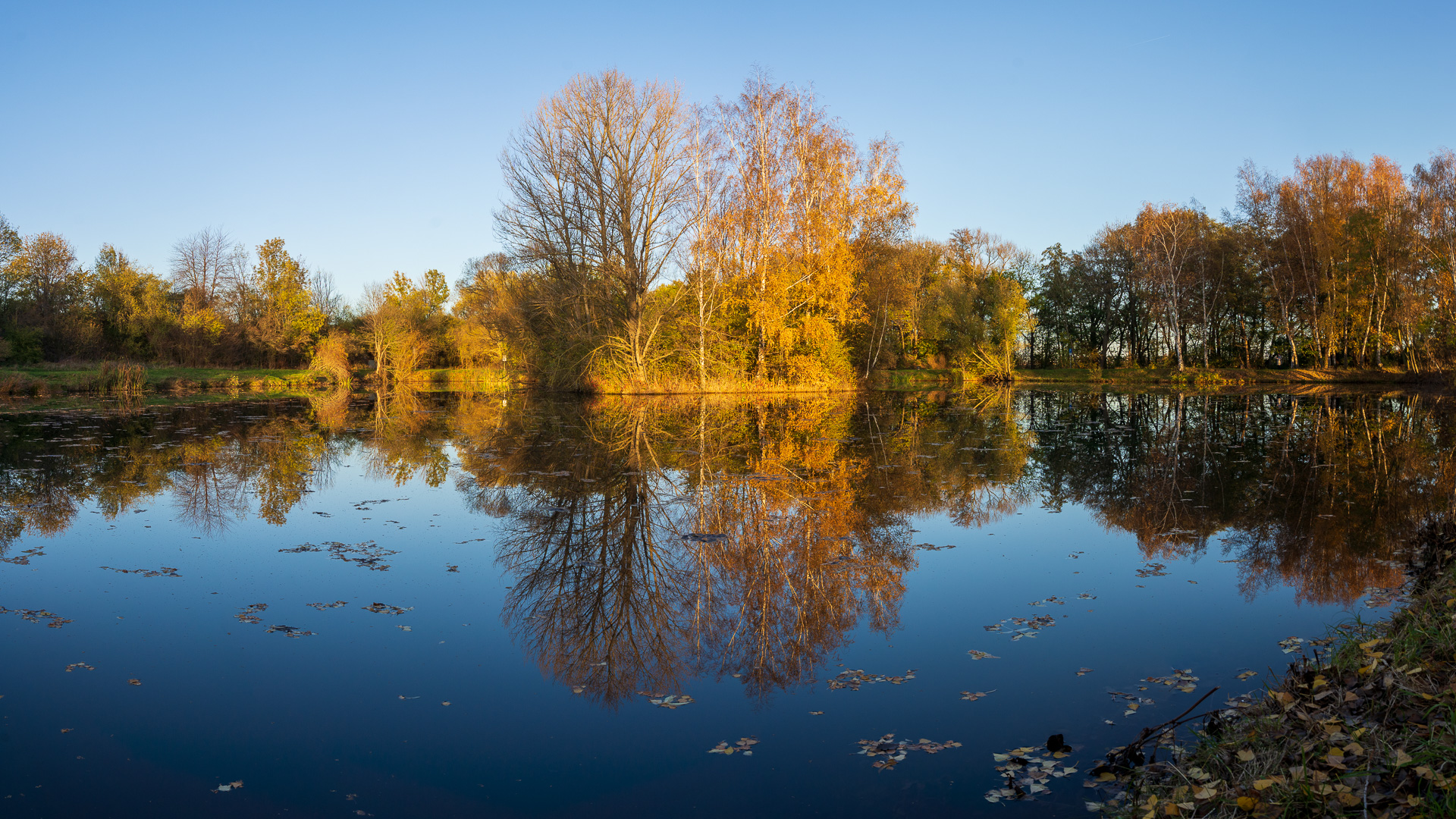 Herbst am Pappelteich