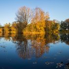 Herbst am Pappelteich