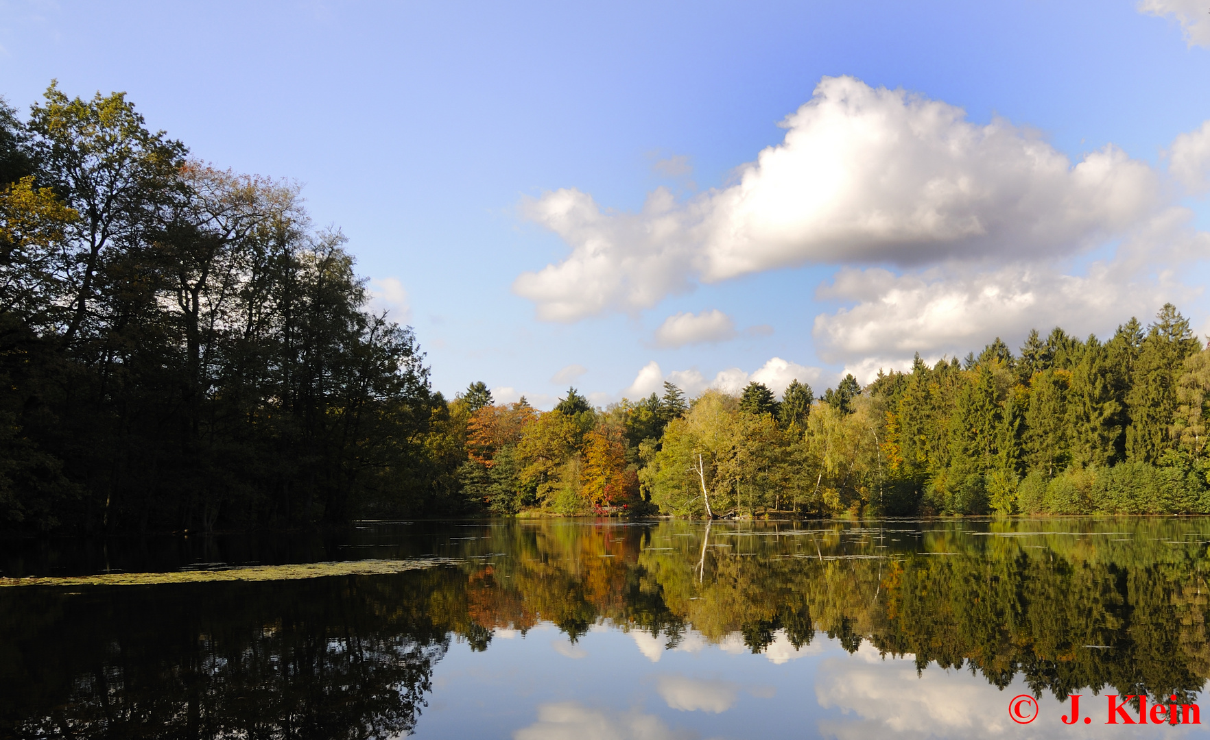 Herbst am Park Manhagen Teich Ahrensburg