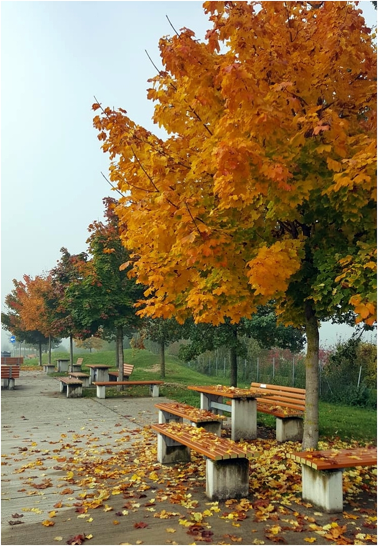 Herbst am Parkplatz