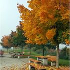 Herbst am Parkplatz