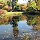 Herbst am Parkteich...