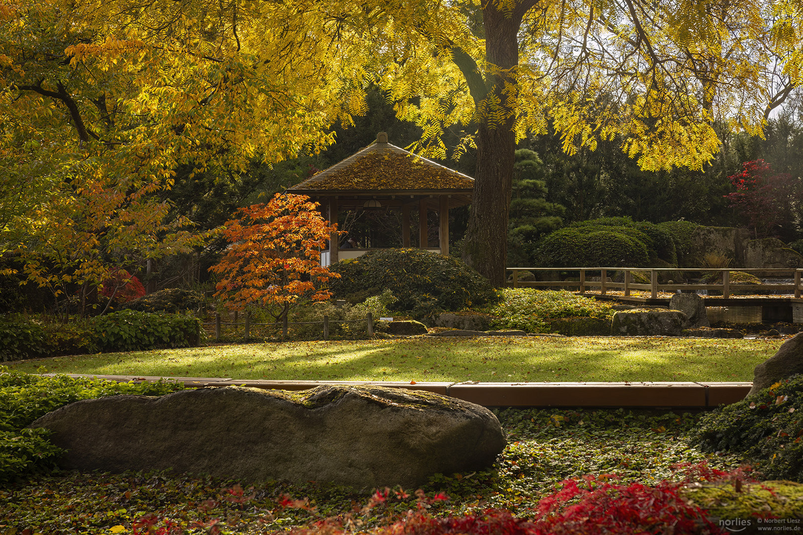 Herbst am Pavillon