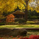 Herbst am Pavillon