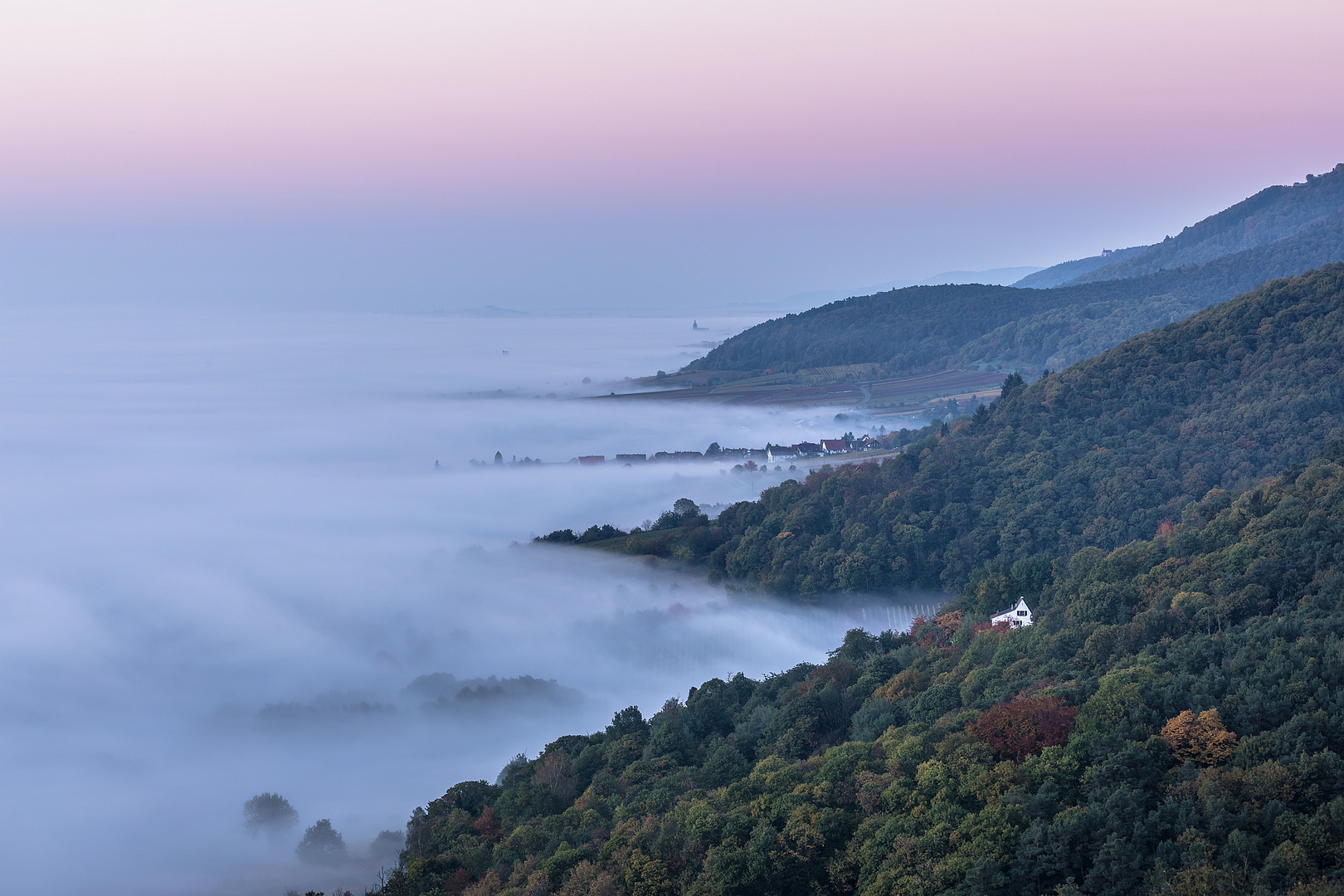 Herbst am Pfälzerwald