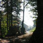 Herbst am Pfänder