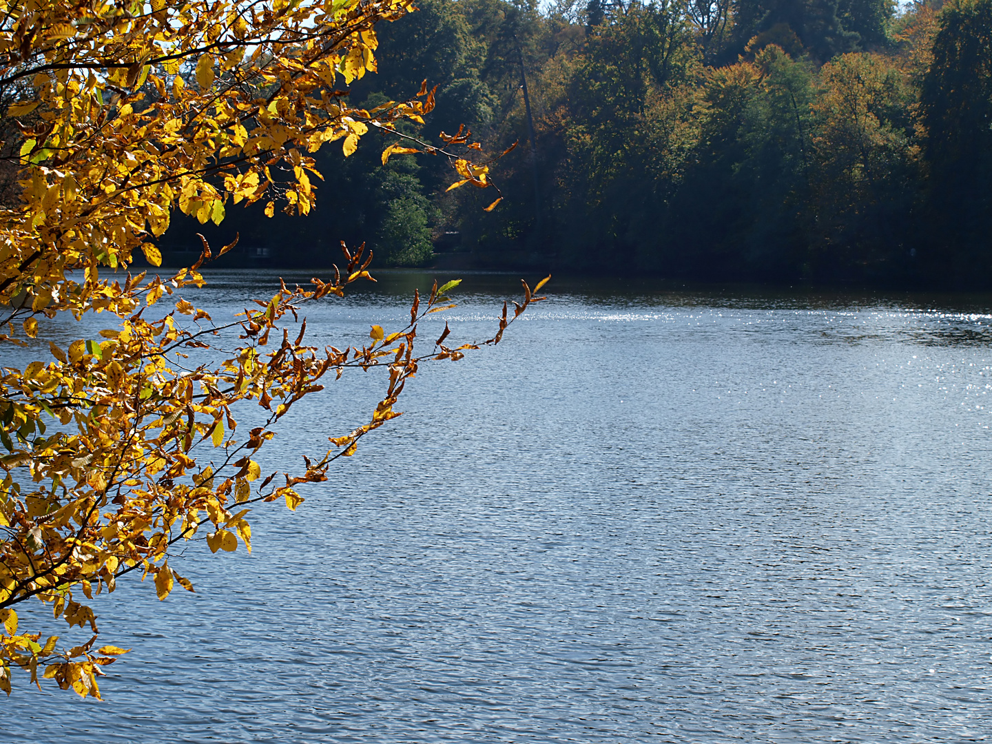 Herbst am Pfaffensee