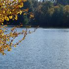 Herbst am Pfaffensee